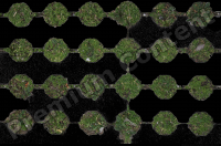 photo texture of grass decal 0003